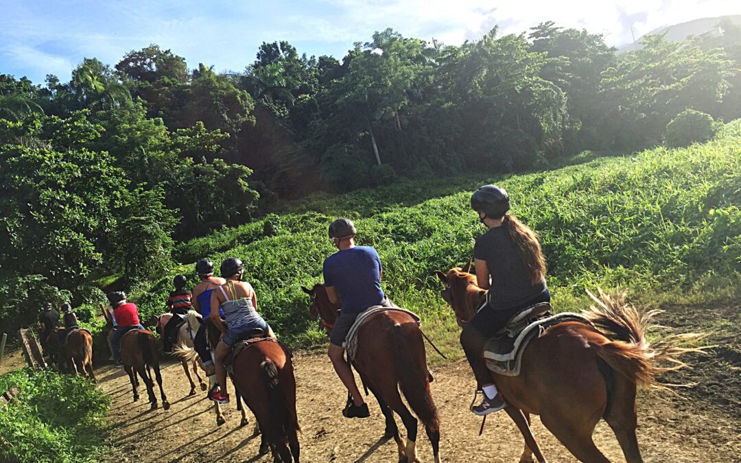 Beachfront Horseback Riding